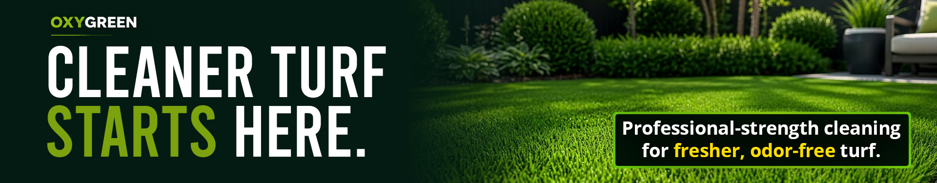dog playing on lawn